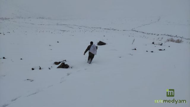 Doğaya yem bıraktılar