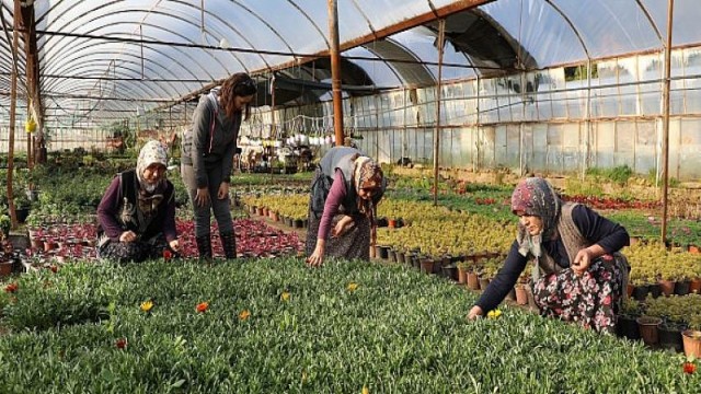 Kooperatif kuran kadınlar, üreterek kazanıyor