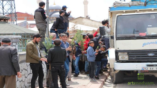 Karlıova’da 10 bin adet fidan dağıtıldı