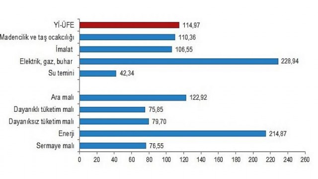 Yurt içi üretici fiyat endeksi (Yİ-ÜFE) yıllık 114,97, aylık 9,19 arttı