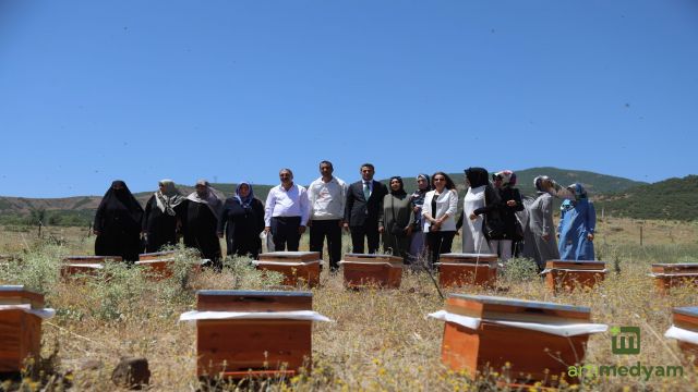 Kadın girişimcilere arı kovanı desteği