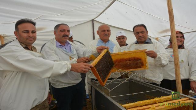 Altın balda hasat dönemi başladı: Hedef 2 bin ton bal elde etmek