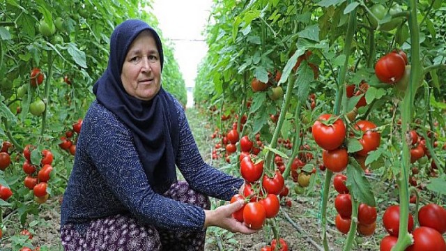 Sulama projesi bir ilçeye hayat verdi