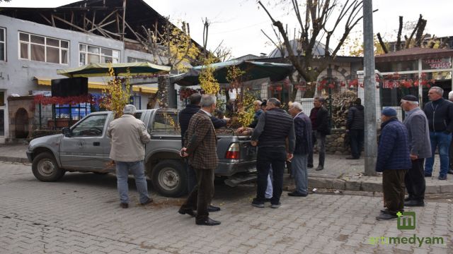 300 Adet Kayısı Fidesi Dağıtıldı