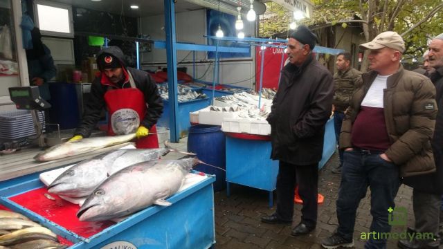 Bu balıkları görenler dönüp bir daha bakıyor