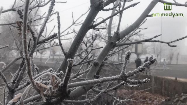 Yoğun sis ve kırağı etkili oldu