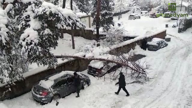 Kar Ağırlığına Dayanamayan Ağaç, Arabanın Üzerine Devrildi